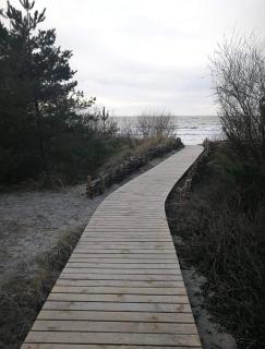 Dobilas ir jura - Palanga - 3
