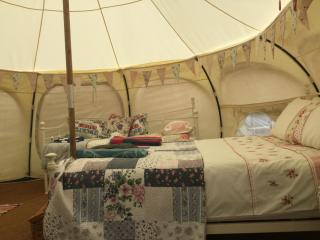Horsemans Stargazing Tent - 6