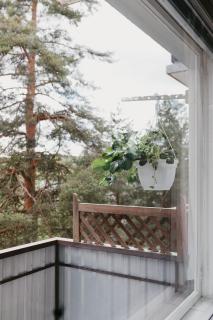 Kaksio järven rannalla, Tampereen vieressä! - Linnavuori - 2