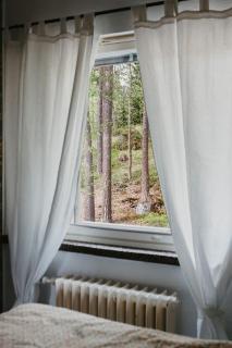 Kaksio järven rannalla, Tampereen vieressä! - Linnavuori - 3