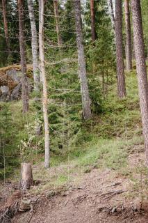 Kaksio järven rannalla, Tampereen vieressä! - 2