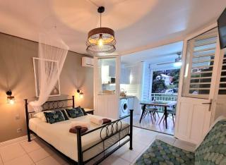 L ALOE Anse des Rochers - 8