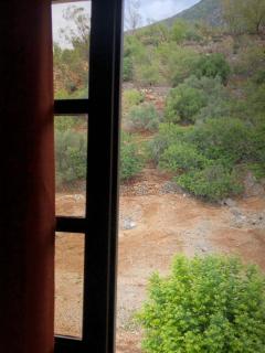 Mina House - Chefchaouen - 1
