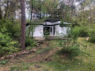 Forest holiday home at friendly holiday park - 0