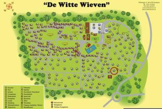 Forest holiday home at friendly holiday park - 3