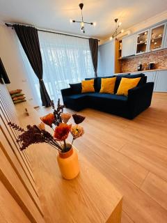 Brand new, feel at home residence - Timişoara - 7