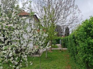 Green Garden Apartment - Sarajevo - 6