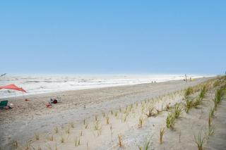 Diamond In The Rough by Oak Island Accommodations - Oak Island - 1