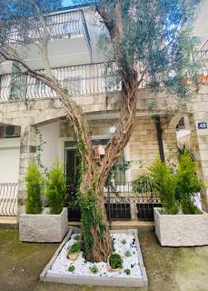 Apartment OLIVA1 - Petrovac na Moru - 8