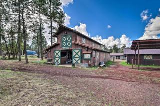 Quaint Pinetop Apartment 7 Mi To Rainbow Lake - Indian Pine - 4