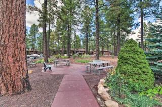 Woodsy Apt - Horseback Riding Lessons Nearby! - Indian Pine - 6