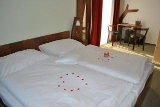 Beltine Forest Hotel - Ostravice - 4