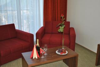 Beltine Forest Hotel - Ostravice - 3