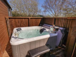 Rose Lodge - Saltburn-by-the-Sea - 8