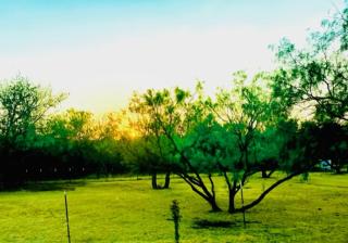 Farm Charm - - 8