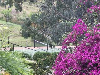 Studio Daruka - Tamworth - 3