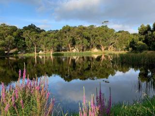 Iluka Retreat Glamping Village & Group Lodge Accommodation - 5