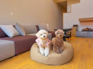 Rakuten STAY VILLA Yatsugatake - 108 Simple Modern Pets Friendly - - Hokuto - 5