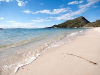 Walking Distance to Little Beach and Shoal Bay - Nelson Bay - 1