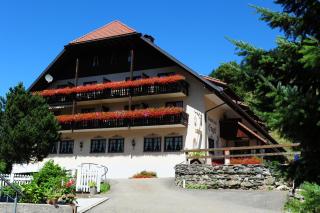 Gasthof Hotel Engel - Simonswald - 8