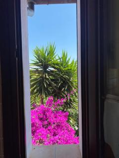 Maggiolino al mare - Cavo - 6