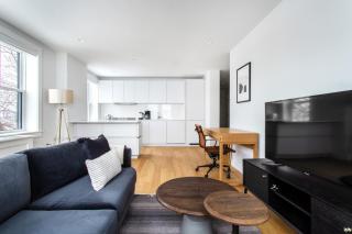 1BR Minutes from Union Sq Porter Sq Davis Sq BOS-338 - 8