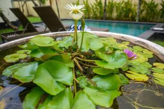 Lucky Lily Villa - Sanur - 7