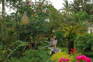 Villa Capung Mas Ubud - Ubud - 1