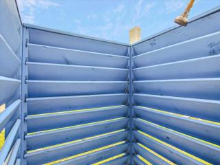 Birds of Paradise - 1