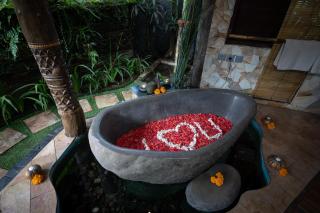 Kupu Kupu Private Villa - Ubud - 2