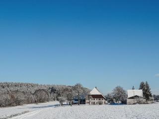 Ferienhof Greuthof - 2