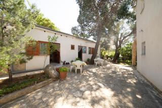 Studio Apartman Ema - Gornji Karin - 2