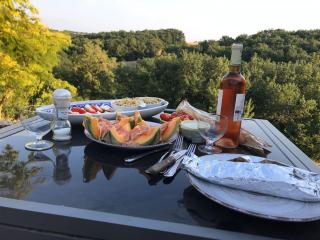 Villa - Mas de campagne prestigieux- Authentic french countryhouse in dream countryside - 6
