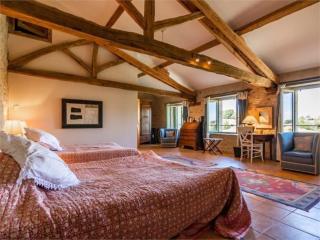 Villa - Mas de campagne prestigieux- Authentic french countryhouse in dream countryside - - 1