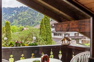 Aurikel - Garmisch-Partenkirchen - 7