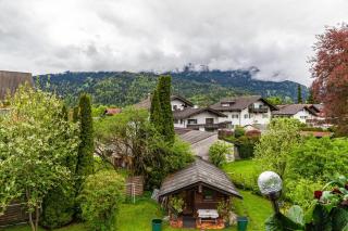 Aurikel - Garmisch-Partenkirchen - 5