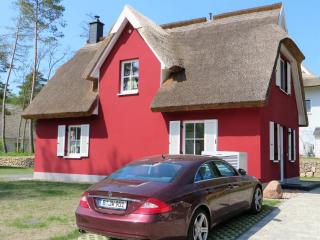 Reetdachhaus am Haff mit Sauna, Terrasse, WLAN - Zirchow - 8