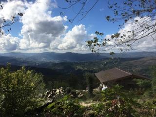 Mountain Log Cabin O Lobo - 3