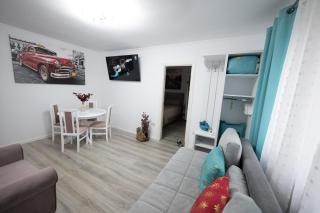 L&R Boutique Apartment - Oţelu Roşu - 1