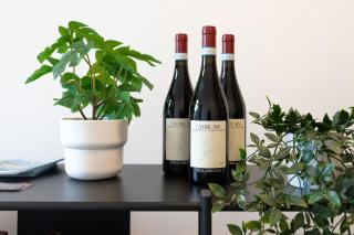 Cà del Lasco - Modern Apartments in Classic Villa - Bellano - 8