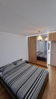 Porodicno-poslovni udoban stan - 1