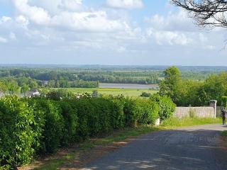 FLEUR DE VIGNE - Fronsac - 7