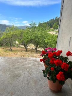 Casa Vicente - 4
