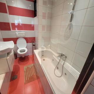 Anastasia Bratianu Apart 28B Beautiful View Self Check from 2 PM - Bucarest - 9