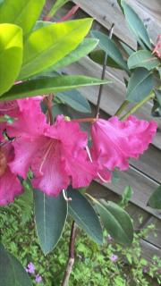 Chambre à louer 1 à 2 personnes chez l'habitant - 3