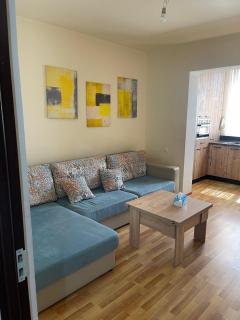 Avchieva's apartment on Shinararneri street - 0