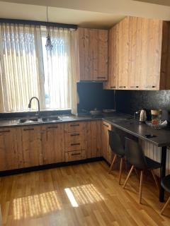 Avchieva's apartment on Shinararneri street - 7