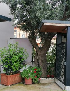 villa Grazia - Rocca San Giovanni - 3