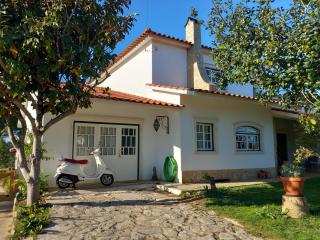 The Space - Central Portugal - 9