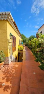 Villa La Paz 2 - Puerto de la Cruz - 2